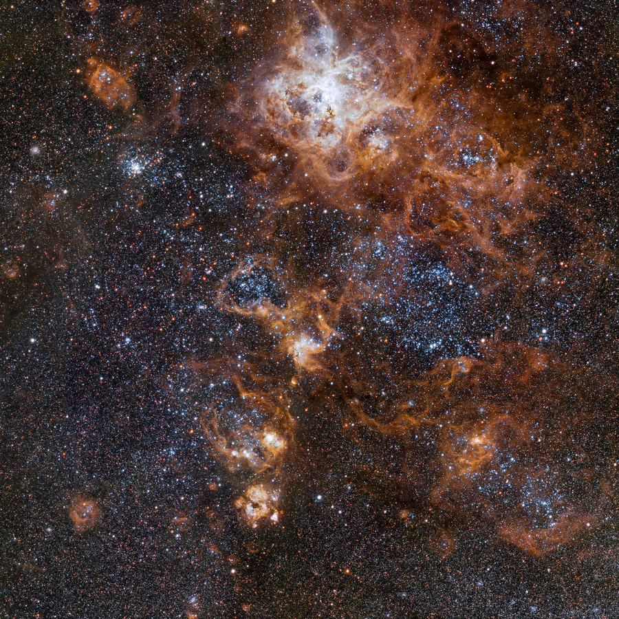 La nebulosa de la Tarántula: filamentos de gas rosado y oscuro alrededor de un cúmulo de estrellas jóvenes